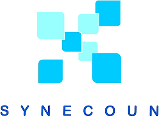 SYNECOUN logo