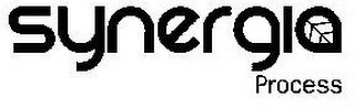 SYNERGIA PROCESS logo