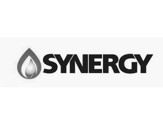SYNERGY logo