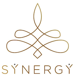 SYNERGY logo