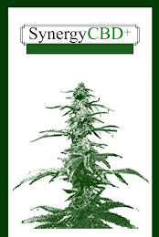 SYNERGY CBD+ logo