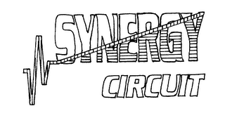 SYNERGY CIRCUIT logo