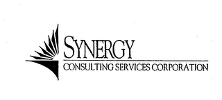 SYNERGY CONSULTING SERVICES CORPORATION logo