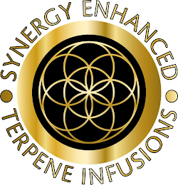 SYNERGY ENHANCED  TERPENE INFUSIONS logo