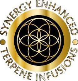 SYNERGY ENHANCED TERPENE INFUSIONS logo
