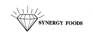SYNERGY FOODS logo