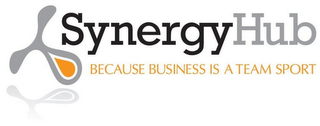 SYNERGY HUB logo
