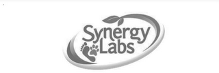 SYNERGY LABS logo