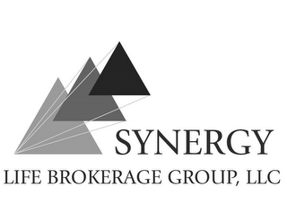 SYNERGY LIFE BROKERAGE GROUP, LLC logo