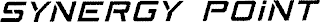 SYNERGY POINT logo