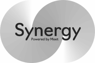 SYNERGY POWERED BY MEET logo
