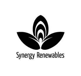 SYNERGY RENEWABLES logo