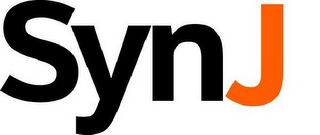 SYNJ logo