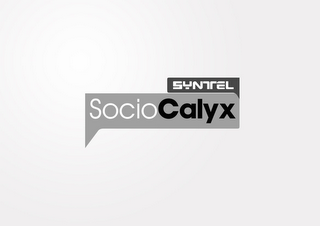 SYNTEL SOCIOCALYX logo