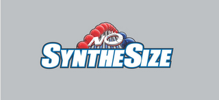 SYNTHESIZE NO logo