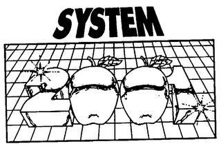 SYSTEM logo