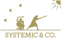 SYSTEMIC & CO. logo