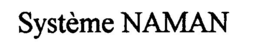 SYSTÈME NAMAN logo