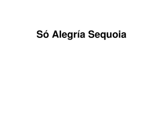 SÓ ALEGRÍA SEQUOIA logo