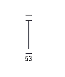 T 53 logo
