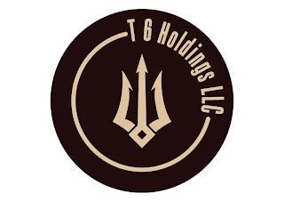 T 6 HOLDINGS LLC logo