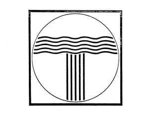 T logo
