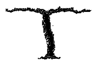 T logo