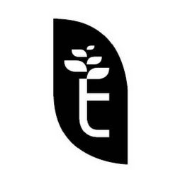 T logo