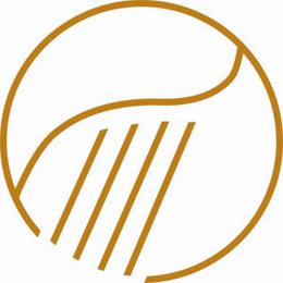 T logo