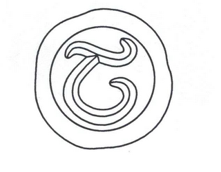 T logo