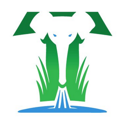 T logo