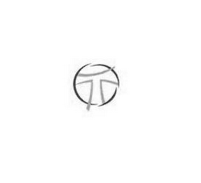 T logo