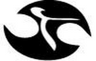 T logo