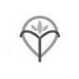 T logo
