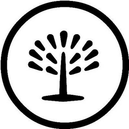 T logo