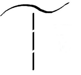 T logo