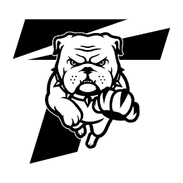 T logo