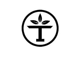 T logo