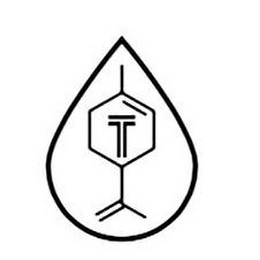 T logo