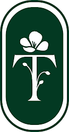 T logo