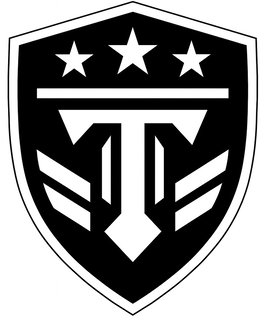 T logo