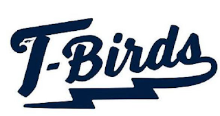 T-BIRDS logo