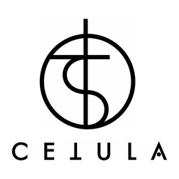 T C CETULA logo