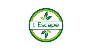 T ESCAPE logo