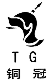 T G logo