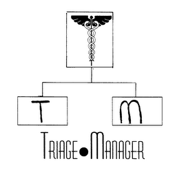 T M TRIAGE MANAGER logo