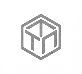 T N logo