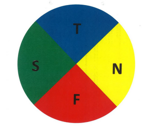 T N F S logo