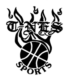 T-NES SPORTS logo