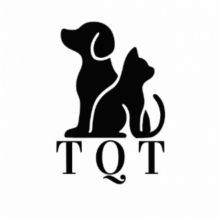 T Q T logo